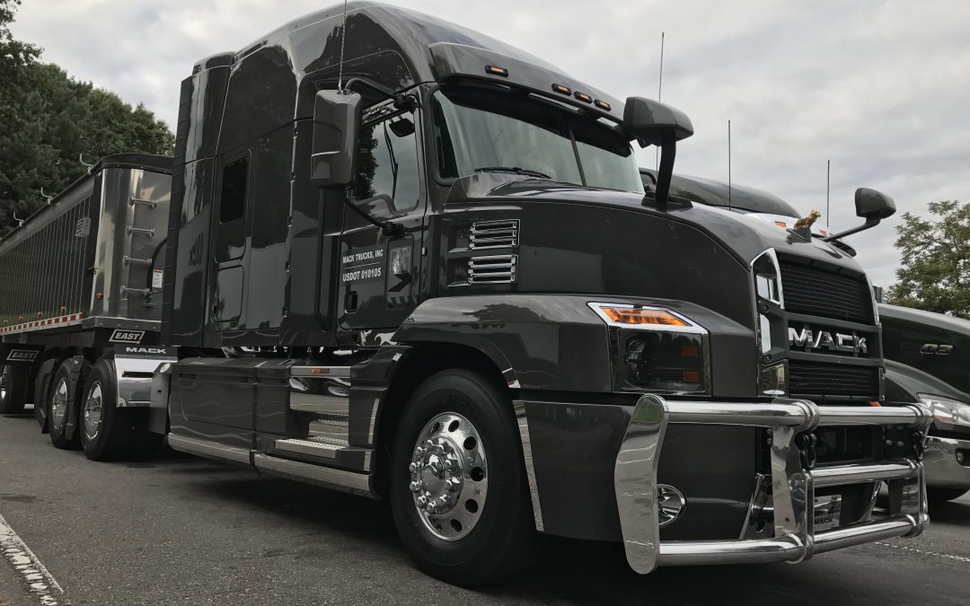 Somebody’s In Trouble!