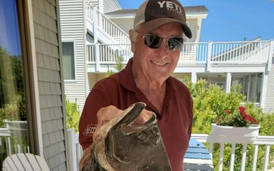 Where Are They Now – Ed Boll