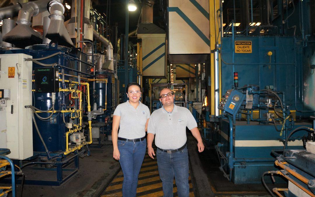 10 Largest Single Location Captive Heat Treats-North America