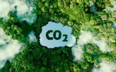 Natural Gas Usage and Your Carbon Footprint