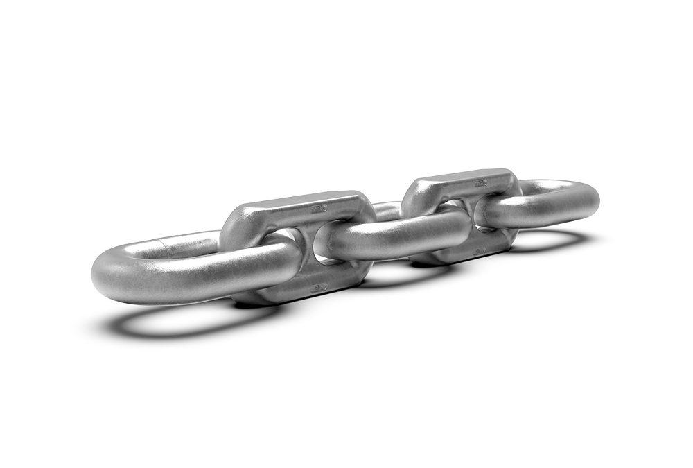 Chain Manufacturer Inaugurates New Batch IQ Line